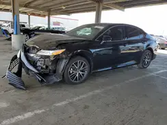 4T1F31AK1PU619115 2023 TOYOTA CAMRY