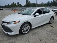 4T1F31AK2LU013140 2020 TOYOTA CAMRY