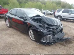 4T1F31AK2LU519244 2020 TOYOTA CAMRY