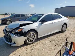 4T1F31AK2LU521530 2020 TOYOTA CAMRY