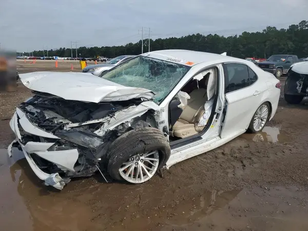 4T1F31AK2LU523486 2020 TOYOTA CAMRY - Image 1