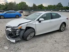 4T1F31AK2LU526209 2020 TOYOTA CAMRY