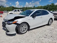 4T1F31AK2LU532172 2020 TOYOTA CAMRY