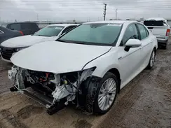 4T1F31AK2LU540384 2020 TOYOTA CAMRY
