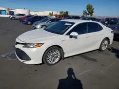 4T1F31AK2LU545391 2020 TOYOTA CAMRY
