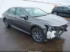 4T1F31AK2RU624553 2024 TOYOTA CAMRY