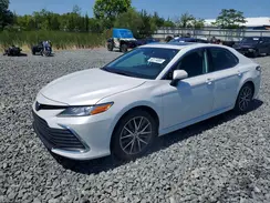 4T1F31AK2RU625203 2024 TOYOTA CAMRY