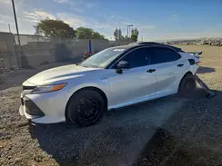 4T1F31AK3LU518202 2020 TOYOTA CAMRY