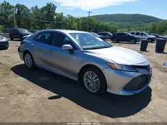 4T1F31AK3LU525294 2020 TOYOTA CAMRY