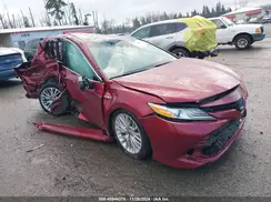 4T1F31AK3LU535890 2020 TOYOTA CAMRY