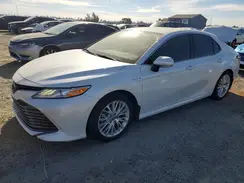 4T1F31AK3LU537512 2020 TOYOTA CAMRY