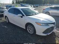 4T1F31AK3LU545366 2020 TOYOTA CAMRY