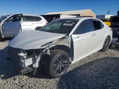 4T1F31AK3MU561519 2021 TOYOTA CAMRY