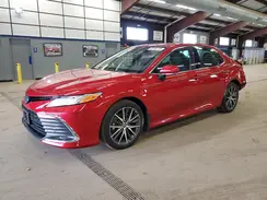 4T1F31AK3PU046590 2023 TOYOTA CAMRY