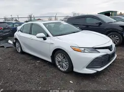 4T1F31AK4LU013351 2020 TOYOTA CAMRY