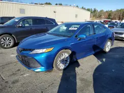 4T1F31AK4LU016511 2020 TOYOTA CAMRY