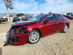 4T1F31AK4LU518029 2020 TOYOTA CAMRY