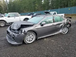 4T1F31AK4LU521464 2020 TOYOTA CAMRY