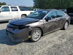 4T1F31AK4LU529256 2020 TOYOTA CAMRY