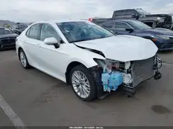 4T1F31AK4LU537230 2020 TOYOTA CAMRY