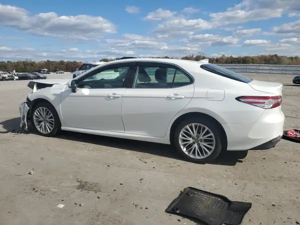 4T1F31AK4LU537406 2020 TOYOTA CAMRY - Image 2