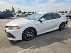 4T1F31AK4MU549251 2021 TOYOTA CAMRY