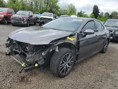 4T1F31AK4PU053435 2023 TOYOTA CAMRY