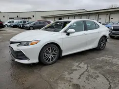 4T1F31AK4RU077138 2024 TOYOTA CAMRY