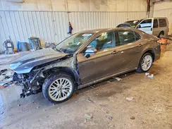 4T1F31AK5LU528651 2020 TOYOTA CAMRY