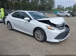 4T1F31AK5LU529086 2020 TOYOTA CAMRY