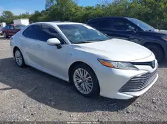 4T1F31AK5LU530853 2020 TOYOTA CAMRY