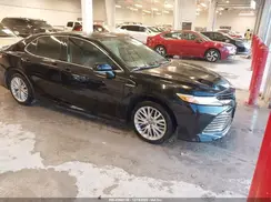 4T1F31AK5LU539844 2020 TOYOTA CAMRY