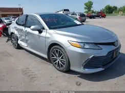 4T1F31AK5MU565376 2021 TOYOTA CAMRY