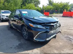 4T1F31AK5PU617979 2023 TOYOTA CAMRY