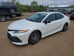 4T1F31AK5RU632257 2024 TOYOTA CAMRY