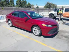 4T1F31AK6LU012525 2020 TOYOTA CAMRY