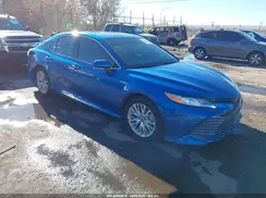4T1F31AK6LU013142 2020 TOYOTA CAMRY