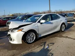 4T1F31AK6LU521398 2020 TOYOTA CAMRY