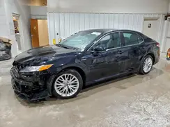 4T1F31AK6LU523457 2020 TOYOTA CAMRY