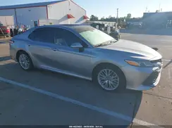 4T1F31AK6LU534488 2020 TOYOTA CAMRY