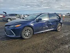 4T1F31AK6MU565757 2021 TOYOTA CAMRY