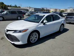 4T1F31AK7LU010816 2020 TOYOTA CAMRY