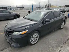 4T1F31AK7LU015997 2020 TOYOTA CAMRY