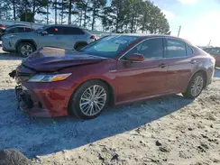 4T1F31AK7LU521667 2020 TOYOTA CAMRY
