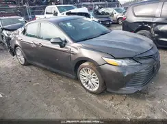 4T1F31AK7LU525329 2020 TOYOTA CAMRY