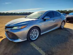 4T1F31AK7LU532877 2020 TOYOTA CAMRY