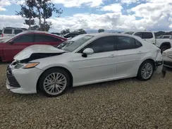 4T1F31AK7LU540994 2020 TOYOTA CAMRY