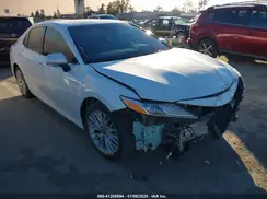 4T1F31AK7LU545435 2020 TOYOTA CAMRY