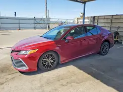 4T1F31AK7MU556873 2021 TOYOTA CAMRY