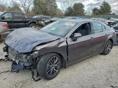 4T1F31AK7PU618549 2023 TOYOTA CAMRY